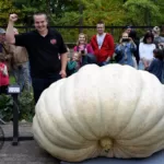 najwieksza-dynia7