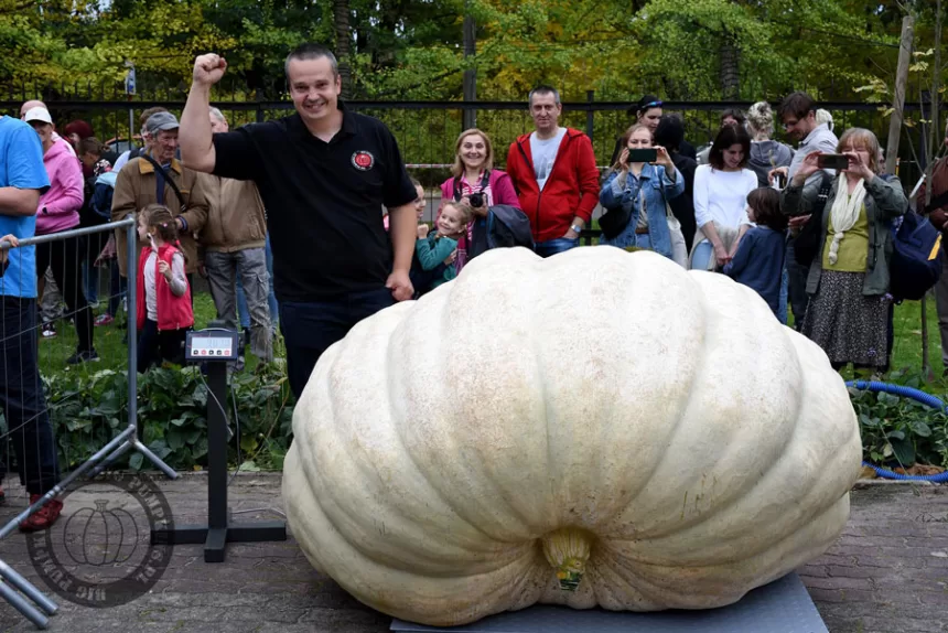 najwieksza-dynia7