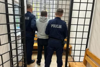 nozownik-w-brzozowie