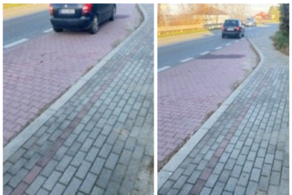 porzucony-kot-w-majscowej