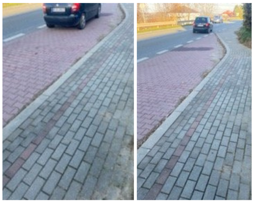 porzucony-kot-w-majscowej